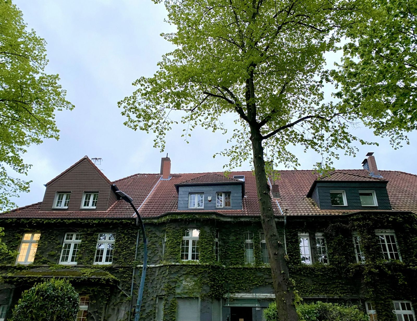 Altbau-Villa mit Bäumen